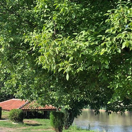 Apartmani Morava 54 Kocino Selo Esterno foto