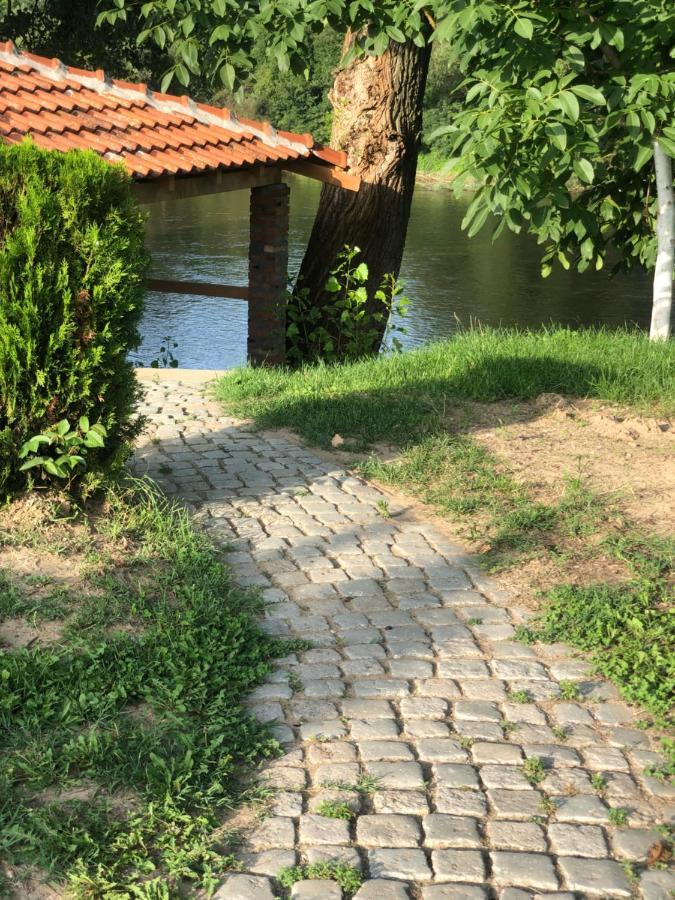 Apartmani Morava 54 Kocino Selo Esterno foto