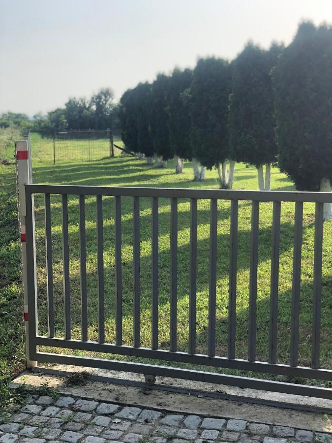Apartmani Morava 54 Kocino Selo Esterno foto