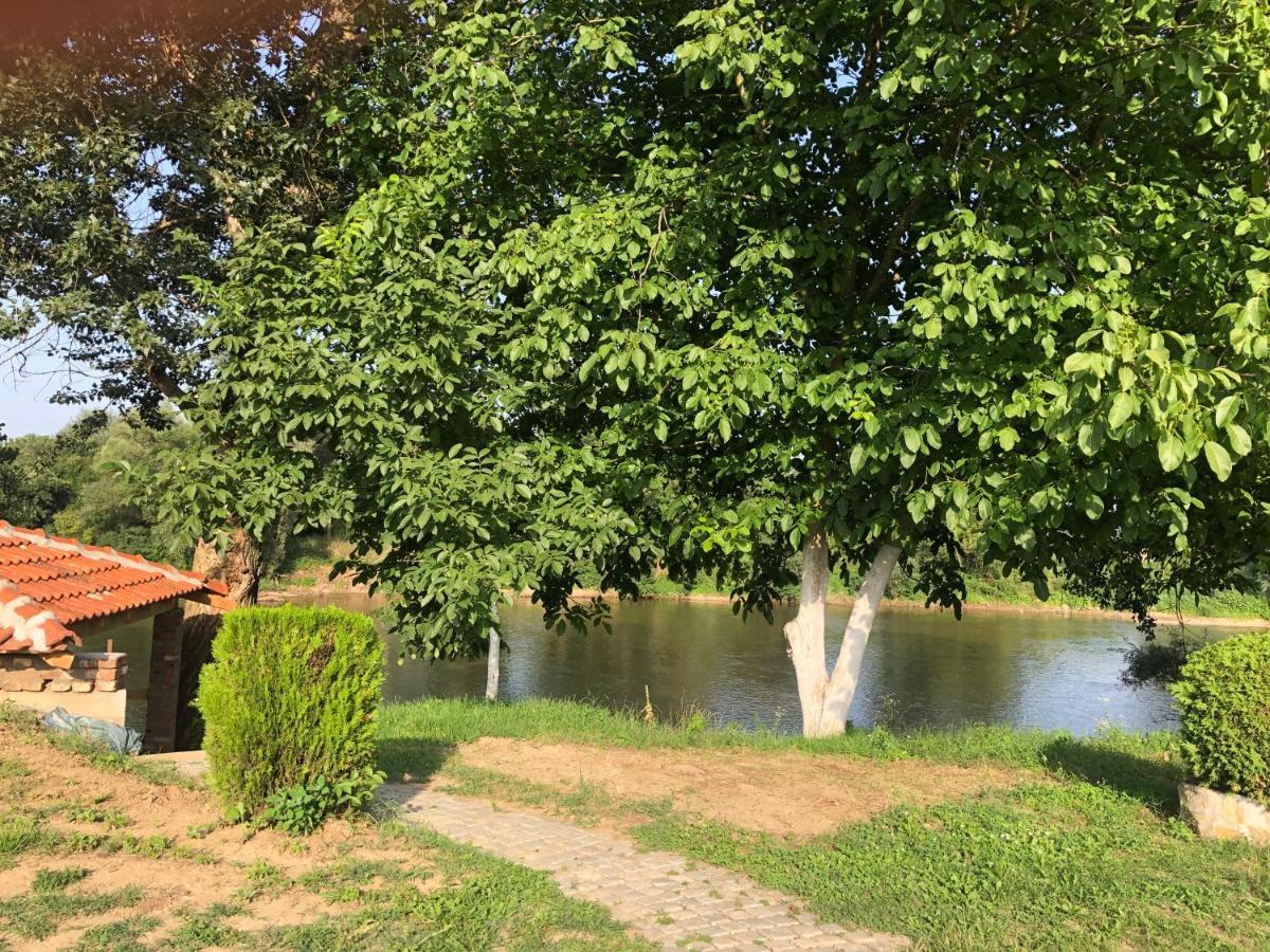 Apartmani Morava 54 Kocino Selo Esterno foto