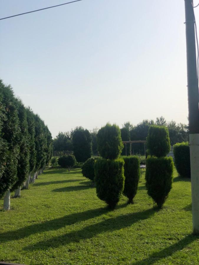 Apartmani Morava 54 Kocino Selo Esterno foto