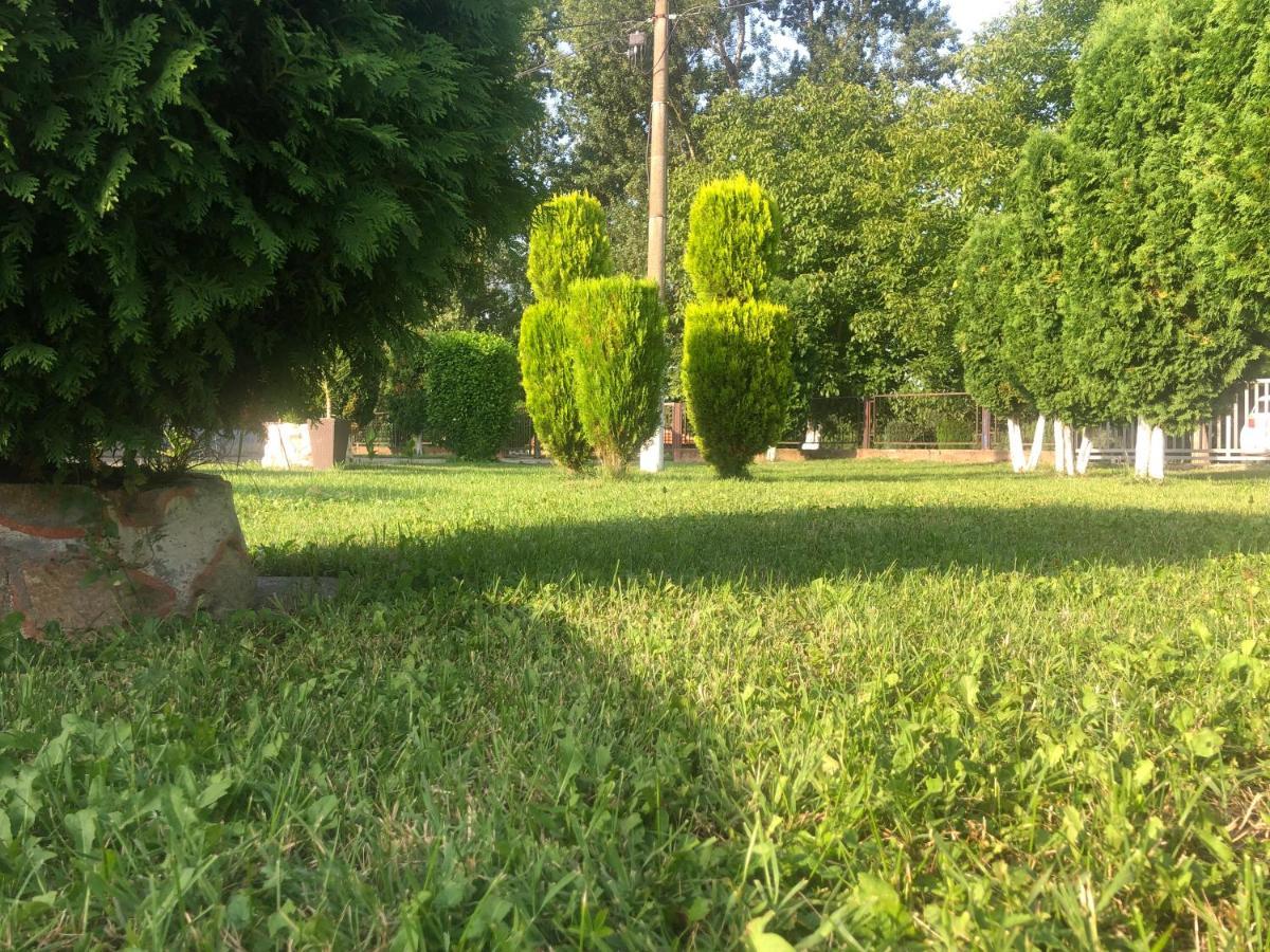 Apartmani Morava 54 Kocino Selo Esterno foto