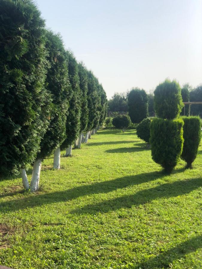 Apartmani Morava 54 Kocino Selo Esterno foto